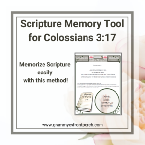 Resource Graphic SMT Colossians 3 17