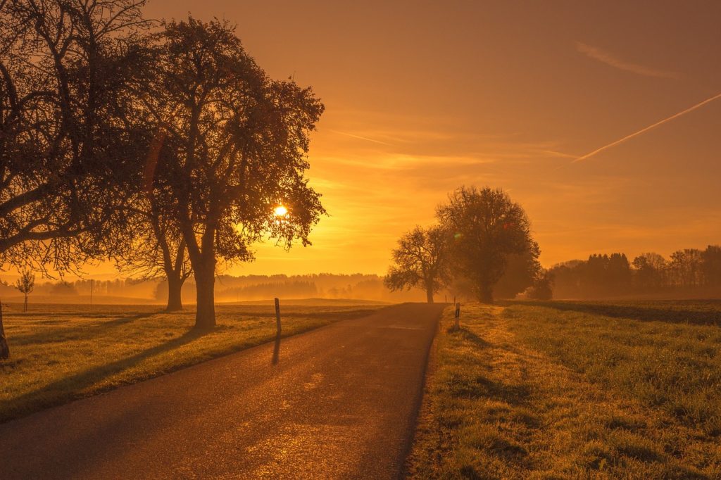 scenic, road, sunrise