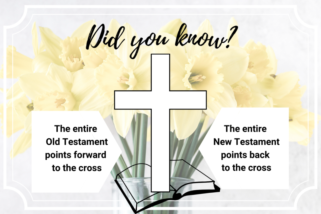 Did you know points to the cross