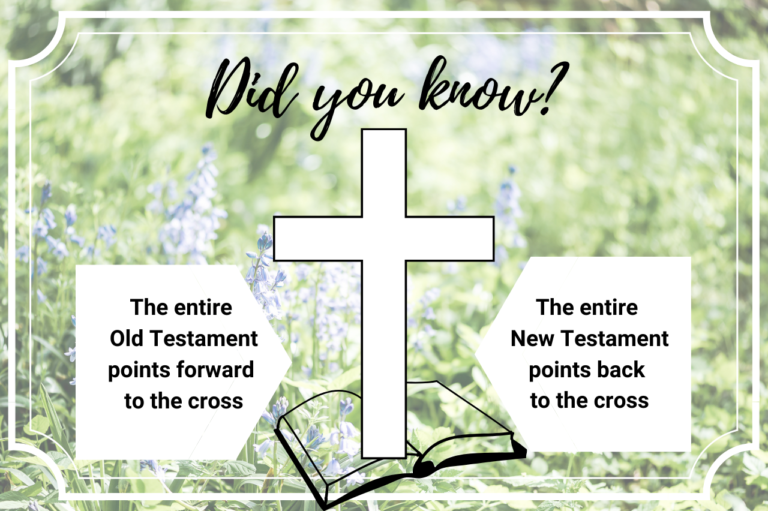 Did you know points to the cross