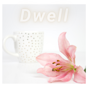 Dwell, coffee, flower