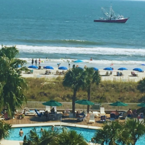 Hilton Head Beach And Pool View