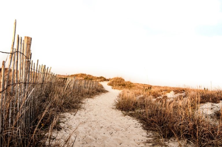 beach, sand, path