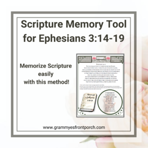 Resource Graphic SMT Ephesians 3 14-18