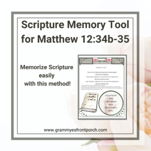 Resource Graphic SMT Matthew 12 34b-35