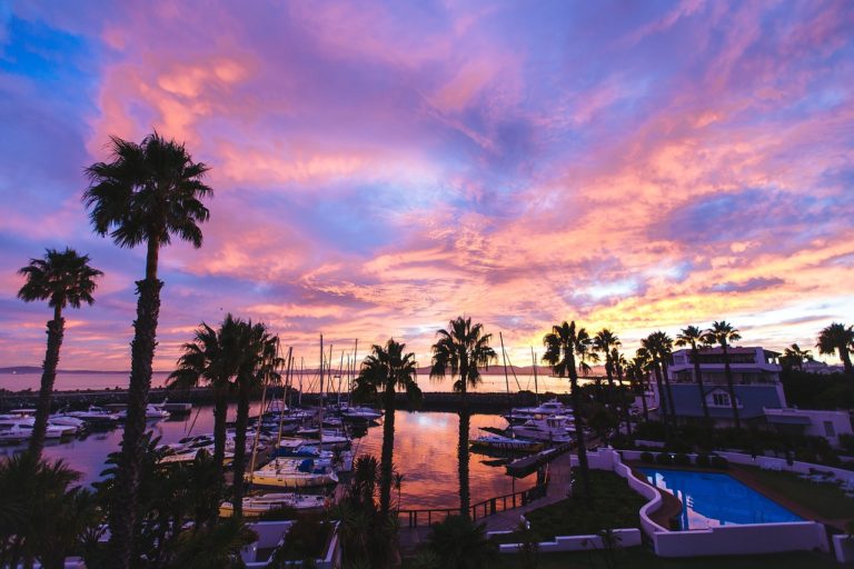 harbor scene boats water sunset