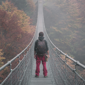 Bridge with man