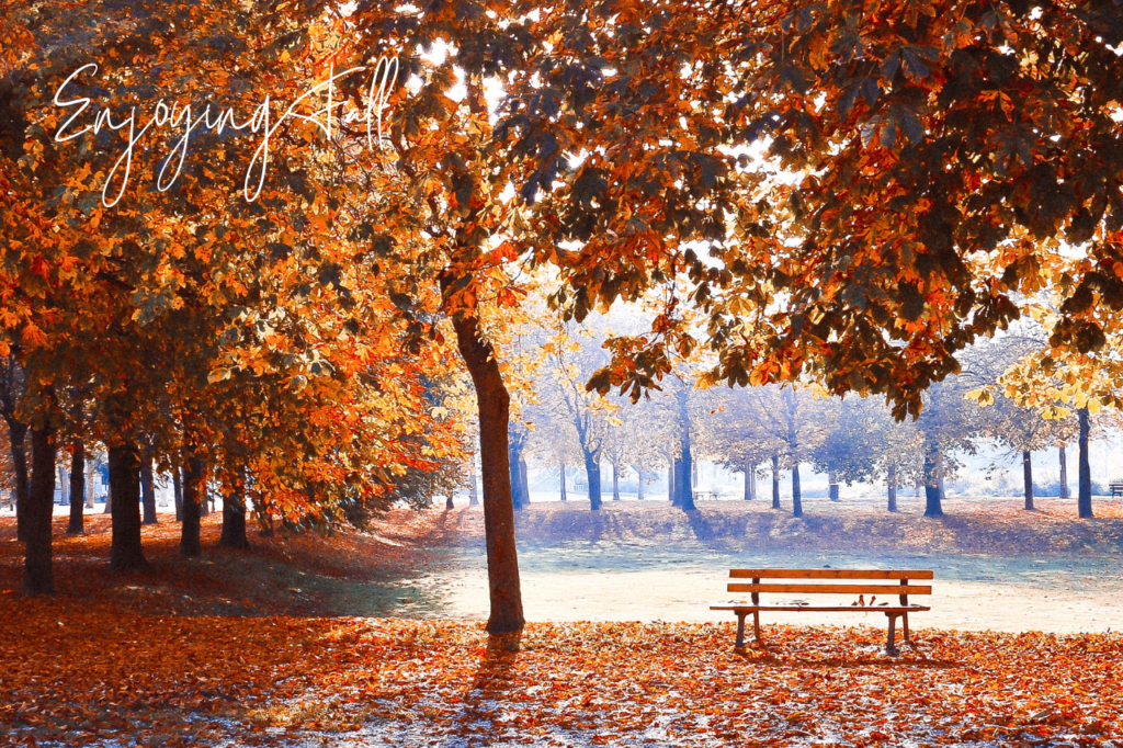 Featured Image Enjoying Fall Bench