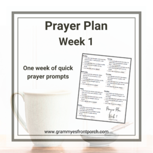 Resource Graphic Prayer Plan Week 1