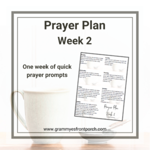 Resource Graphic Prayer Plan Week 2