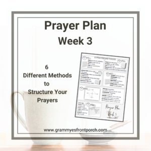 Resource Graphic Prayer Plan Week 3