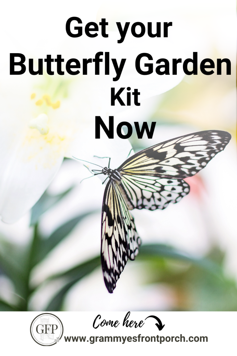 Pinterest Butterfly Kit Now