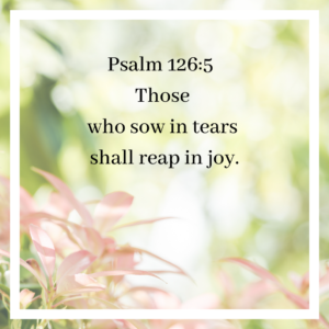 Sow in tears Reap in Joy Psalm 126-5