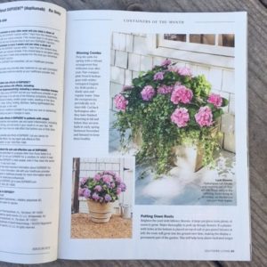 Container garden magazine 1