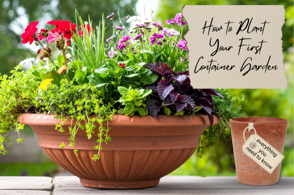 Featured Image Container Garden How To