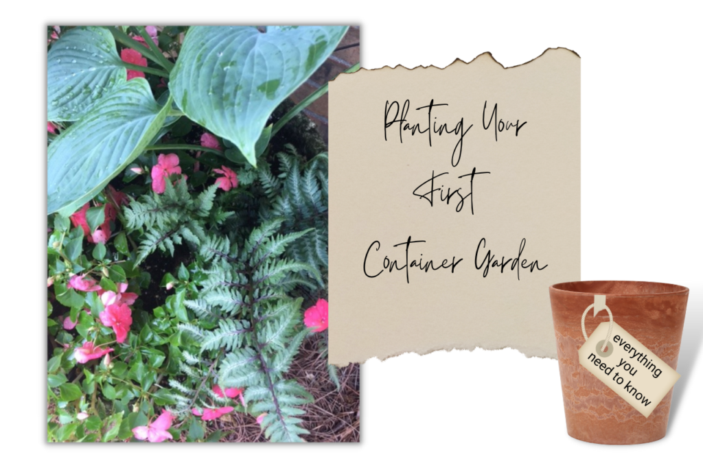 Featured Image Container Garden Planting