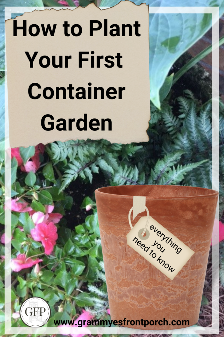 Pinterest Container Garden How to