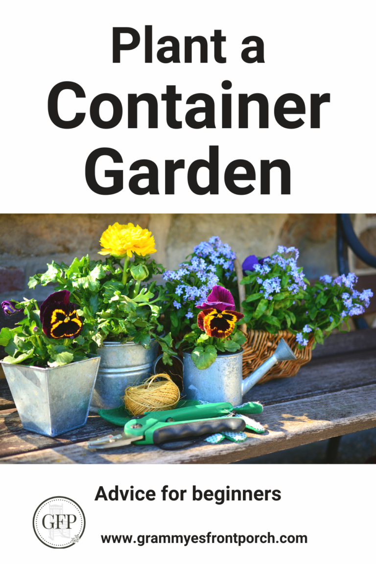 Pinterest Container garden advice for beginners