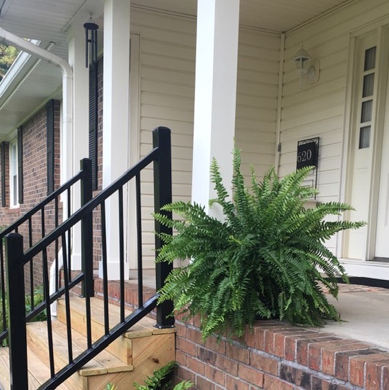 Porch fern and steps