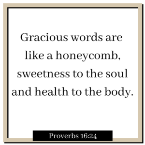 Proverbs 16 24 Gracious words