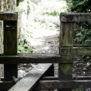 Rustic fence path