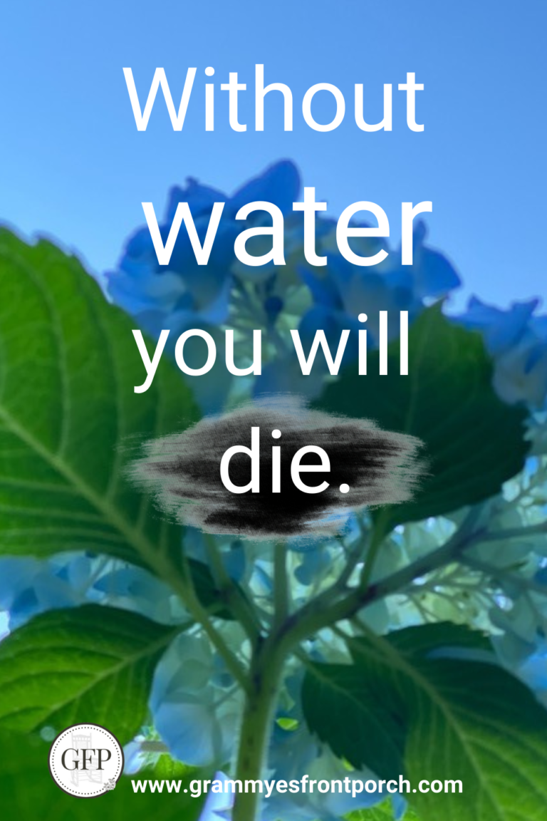 Pinterest Without Water You Will Die