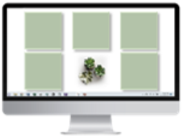 Desktop Wallpaper Monitor Green Tiles and Succulents