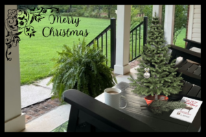 GFP PORCH with black rockers View Christmas Book