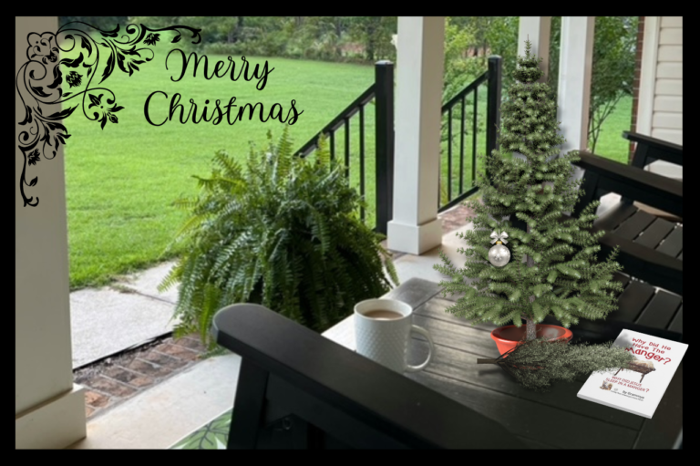 GFP PORCH with black rockers View Christmas Book