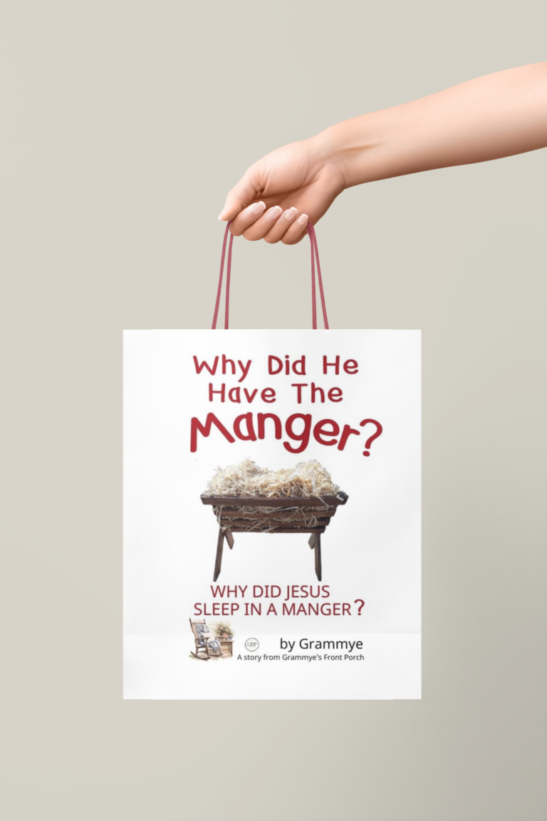 Christmas Manger Book gift bag