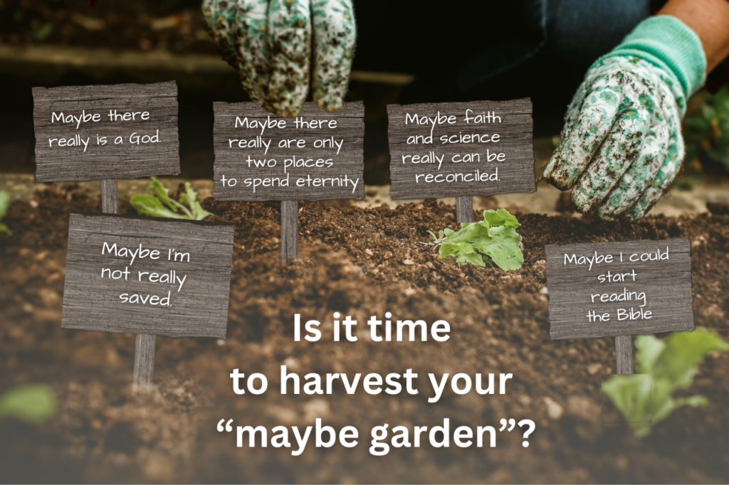 MAYBE GARDEN time to harvest