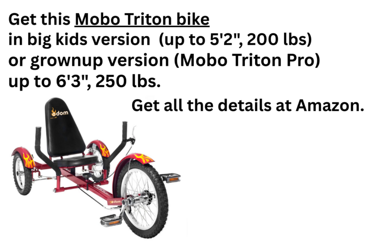 Entertaining Kids Mobo Triton Bike