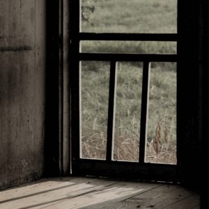 Storm screen door