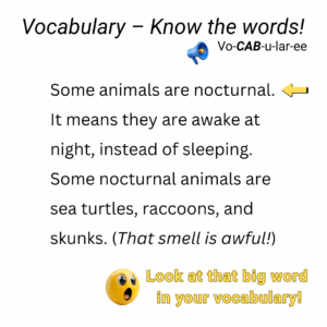 Pinterest Reading Secrets Vocabulary (1)
