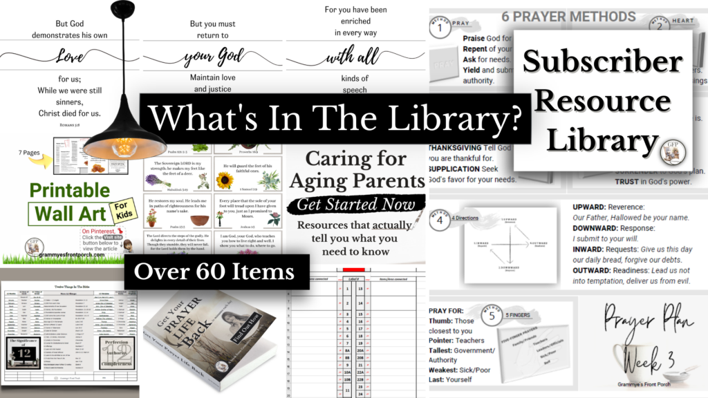 What's in the Library Grid