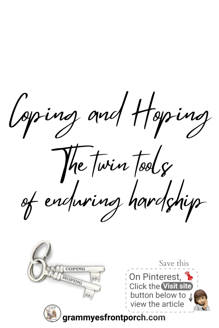Pinterest Coping and Hoping twin tools